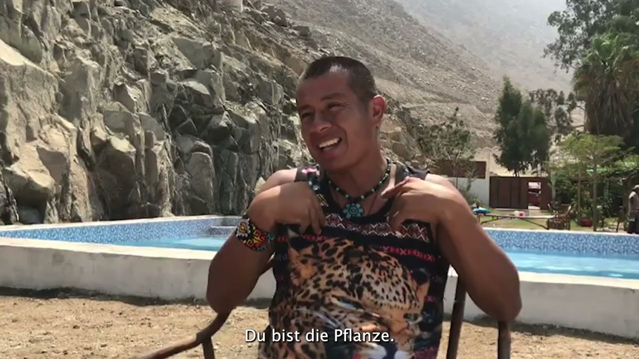 #Mayahuasca Die #medizin des #Amazonas. #Mayahuasca La #medicina del #Amazonas.